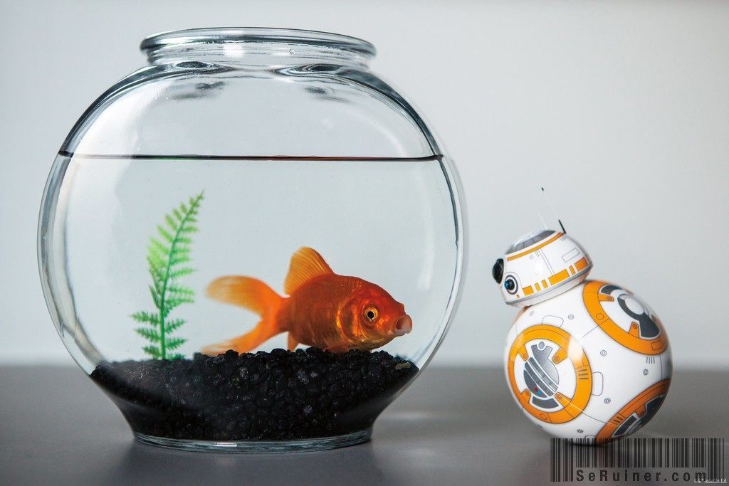 BB-8