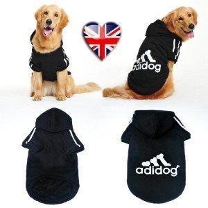 Adidog la tenue de sport pour mon chien