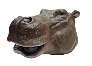 tete-hippopotame