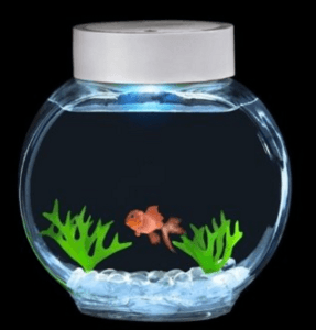 aquarium poissons1