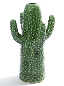 vase-cactus