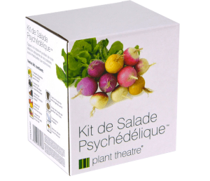 kit-salade