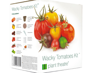 kit-tomates