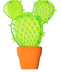 rape-cactus
