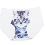 culotte-chat