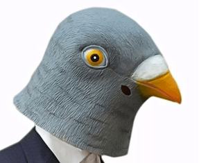 masque pigeon