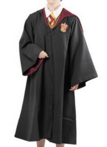 deguisement harry potter