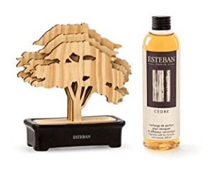 arbre esteban