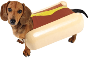 chien déguisement