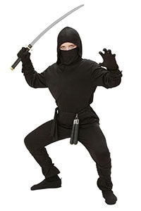 ninja noir